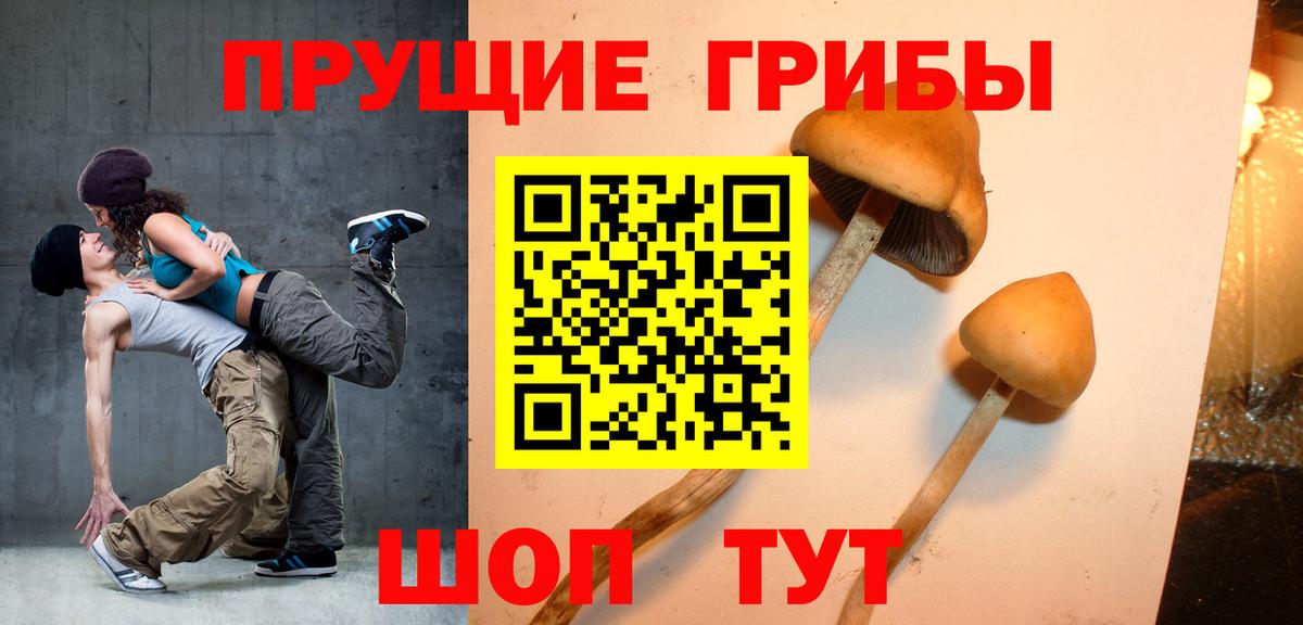 Псилоцибиновые грибы Magic Shrooms  Галлюциногенные грибы GOLDEN TEACHER  Вход с VPN  Егорьевск 